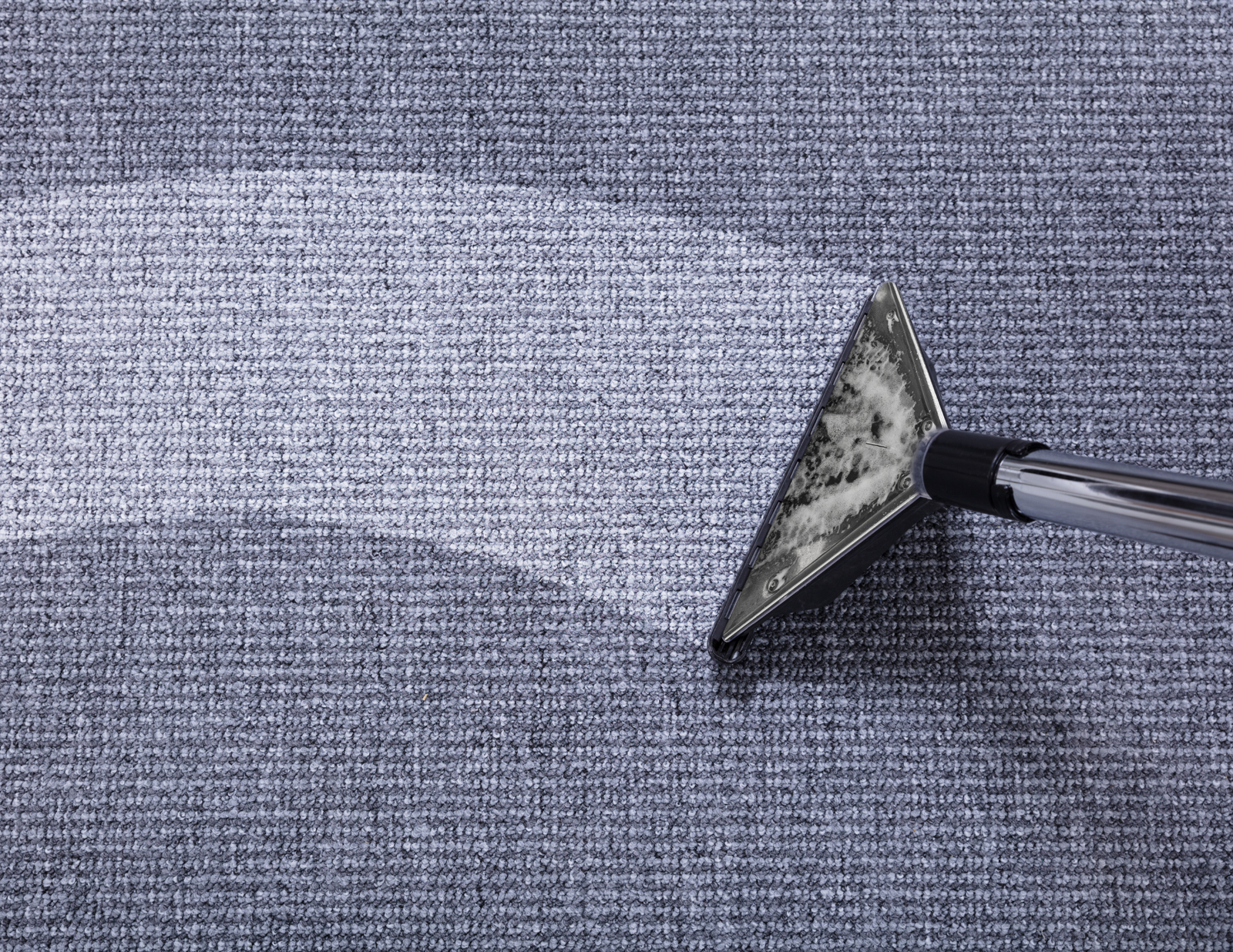 Carpet Cleaning - Adics